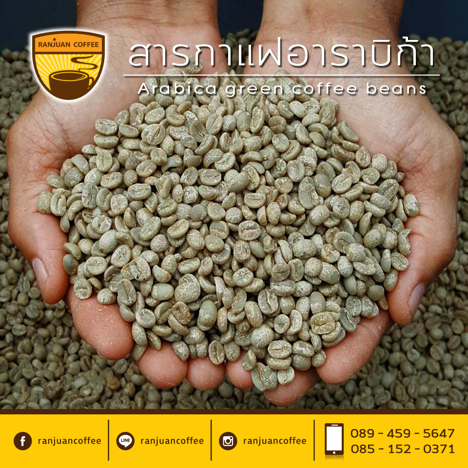 Arabica green coffee beans