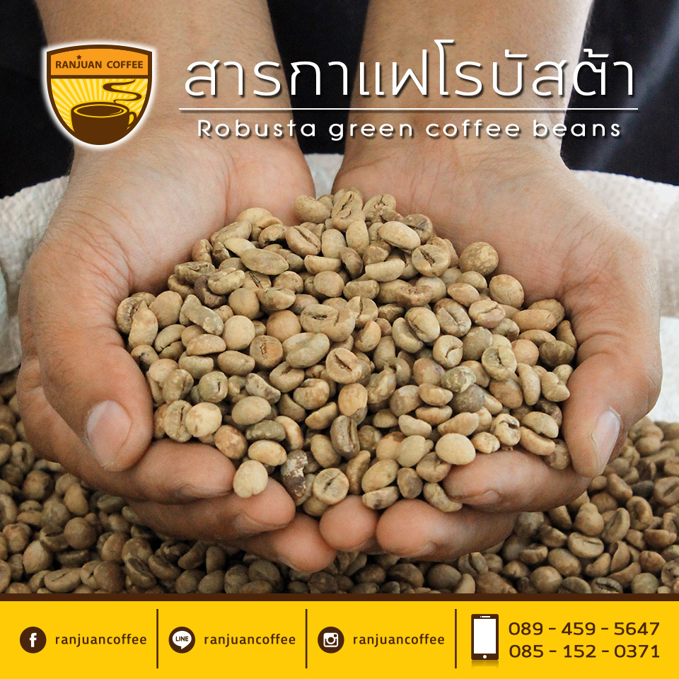 Robusta green coffee beans