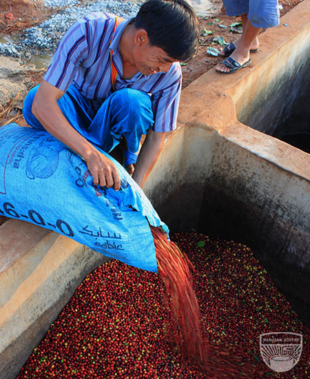 Ranjuan coffee process